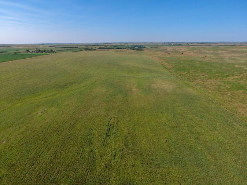 DJI_0623