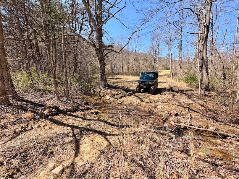 Morgan Co TN 310.833 Schneller_71