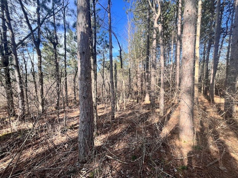 Jefferson_10.4_Somberg Lot 4&5 Photo 5