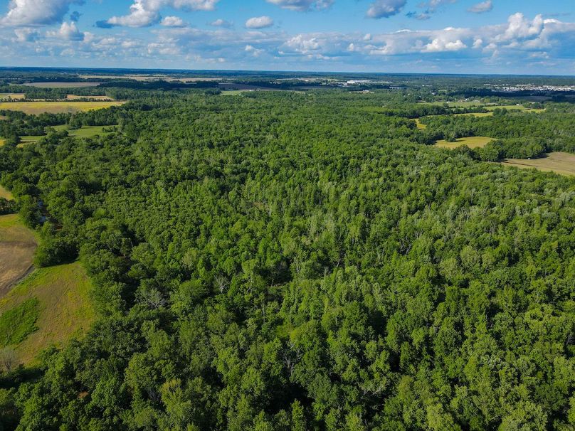 vandalia 450 (2)-3216