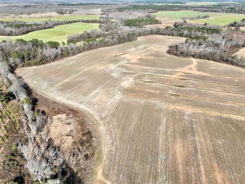 dji_fly_20260115_143708_119_1768507090863_photo