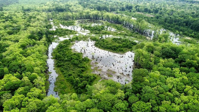 dji_fly_20260419_112310_751_1776612253854_photo_optimized