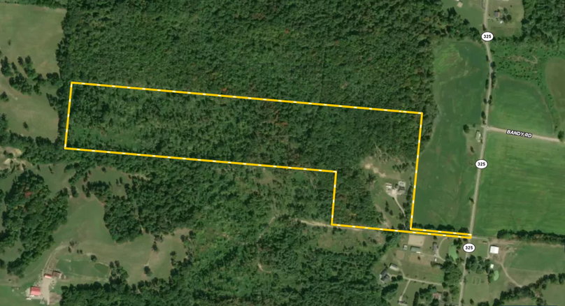 Screen Shot 2022-02-17 at 2.46.51 PM