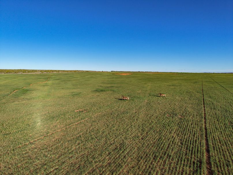 DJI_20260423080028_0218_D