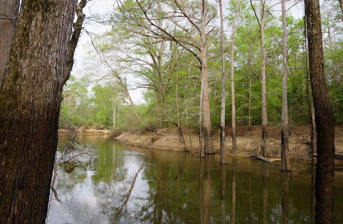 6 Marion TX 143 and 117 Featured_WEB.00_05_44_16.Still016