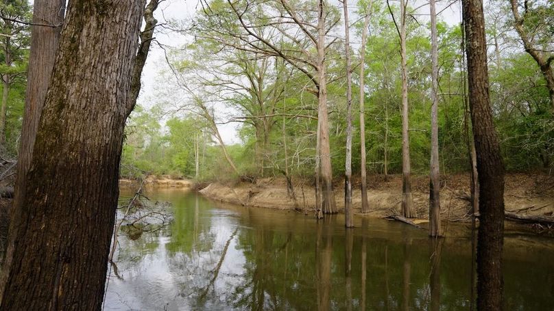 6 Marion TX 143 and 117 Featured_WEB.00_05_44_16.Still016