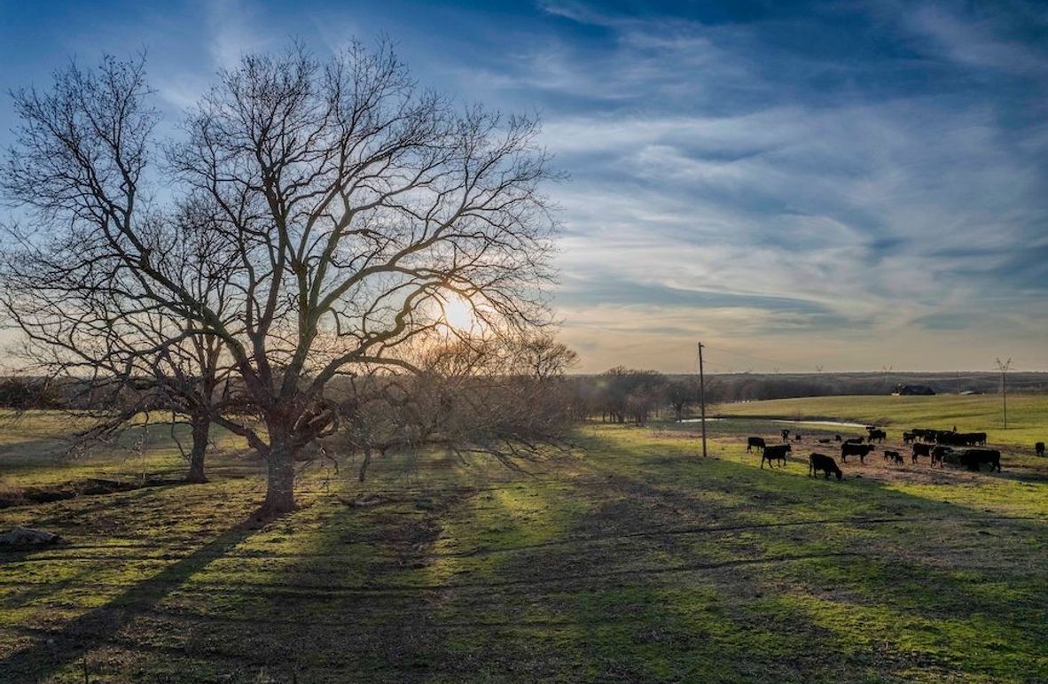 Fannin County- Pecan Ridge (0 of 53)