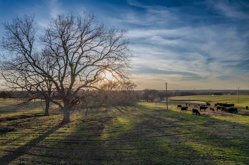 Fannin County- Pecan Ridge (0 of 53)