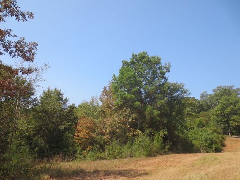 8F9DA023-40DD-4697-8BD6-E45771F2EDD6_1_105_c