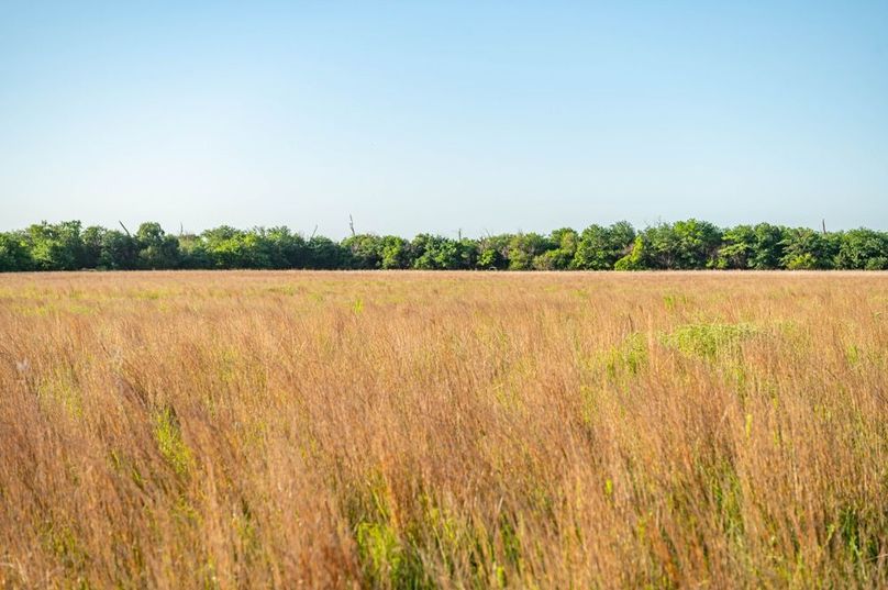 Kiowa Co Ks 198-48