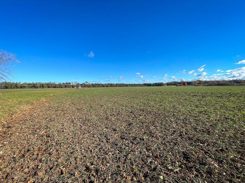 Portage 150.81 JMJK Prop-15