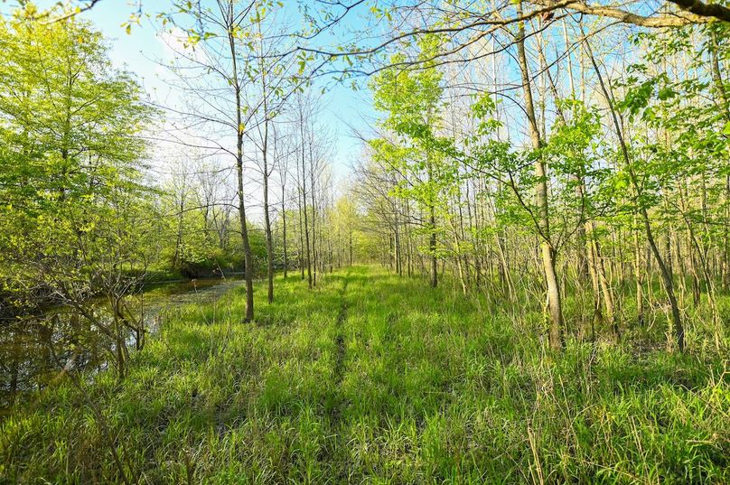 vandalia 450 (2)-3002