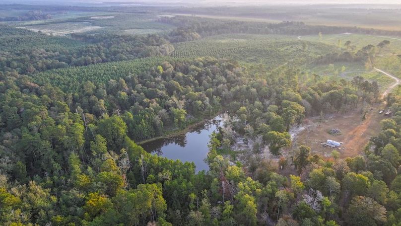 DJI_20250918072138_0069_D