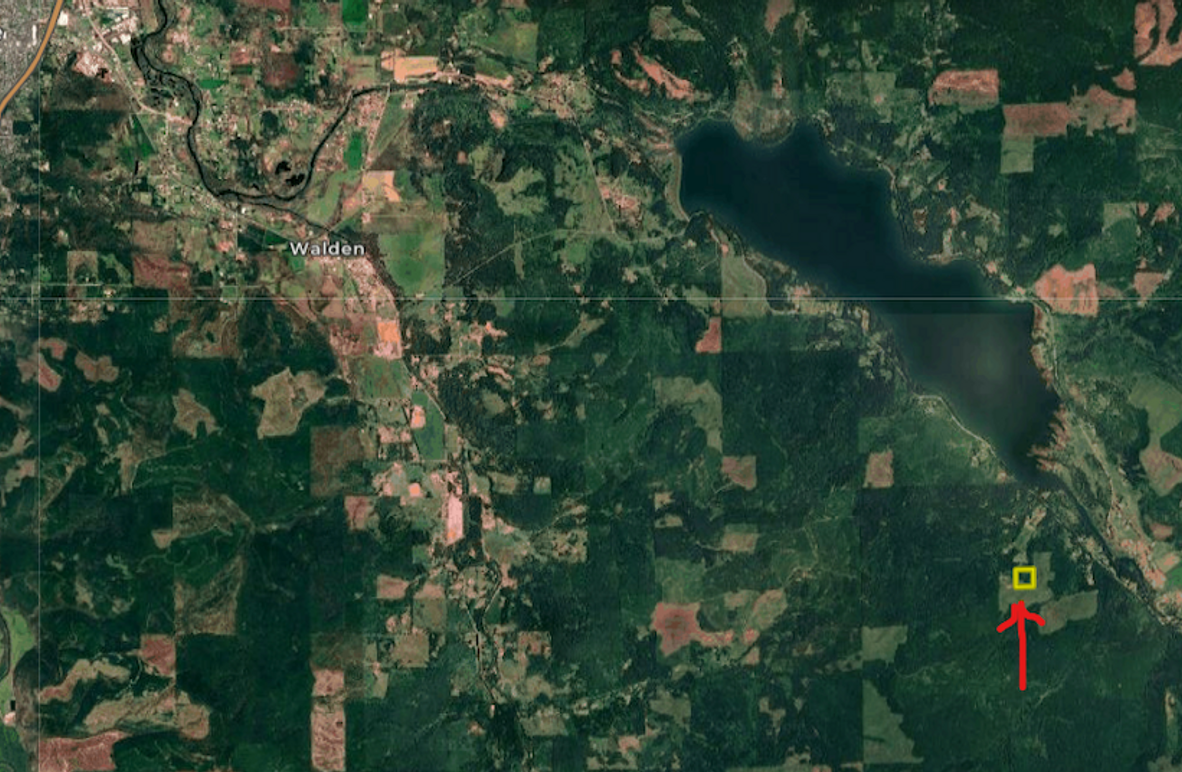 Reelvest 10.25 distant