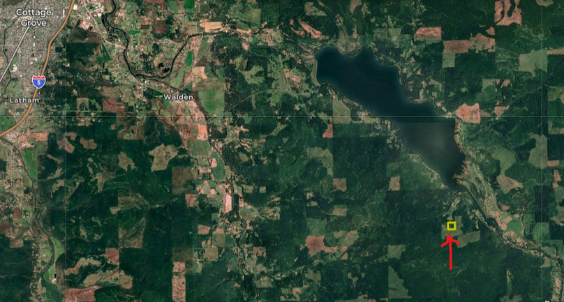 Reelvest 10.25 distant