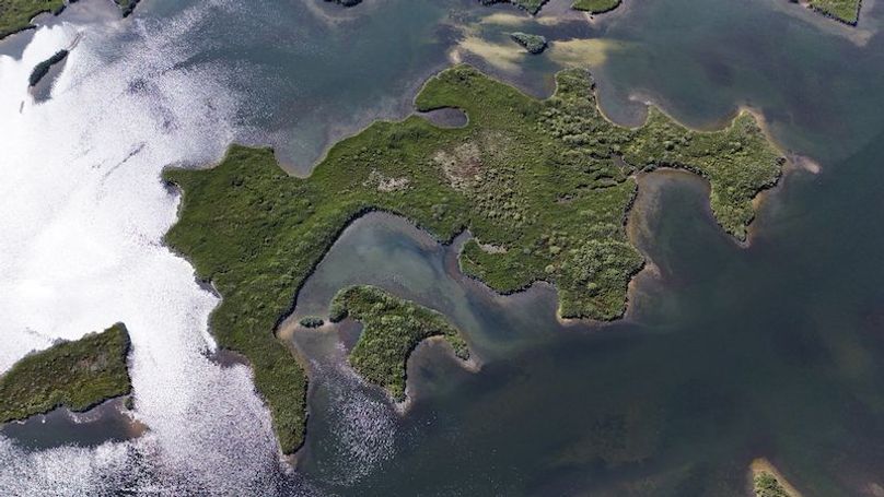 17.17ac, Citrus, Josiah Ronco07