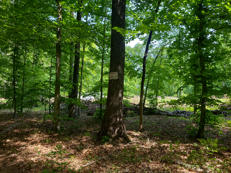 26.48ac_McKenneyLn_QAnnes_29