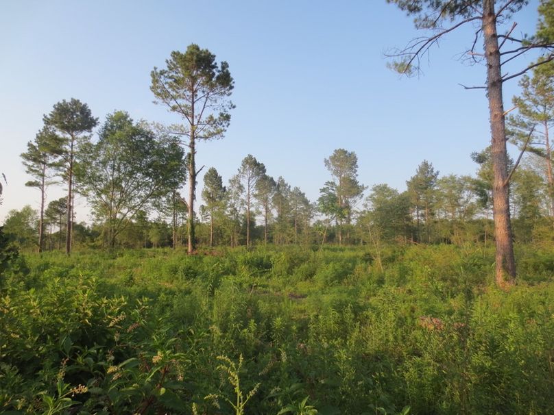 72387400-D141-43B6-B6D2-0218474D6392_1_105_c