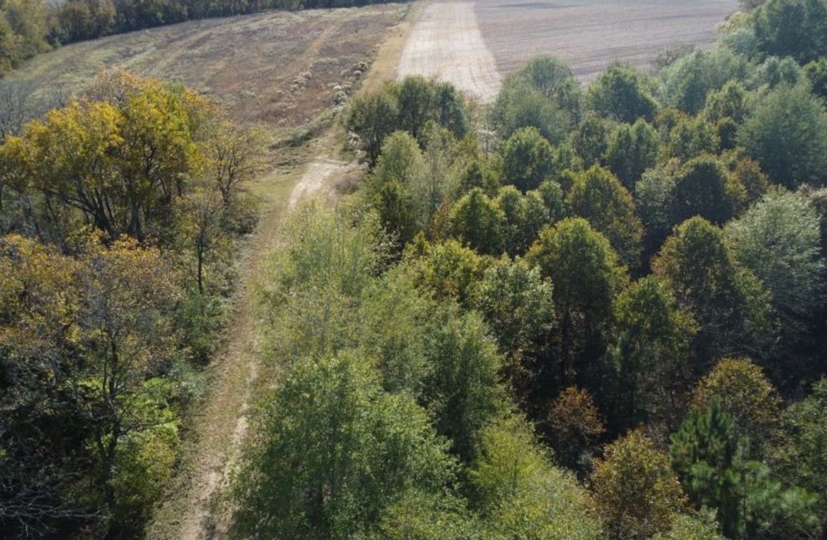 1a1 jeff 8320251111_0229