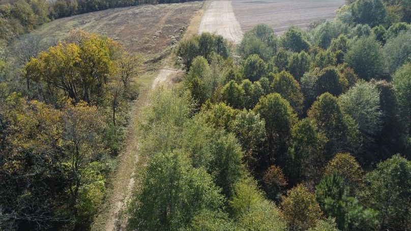 1a1 jeff 8320251111_0229