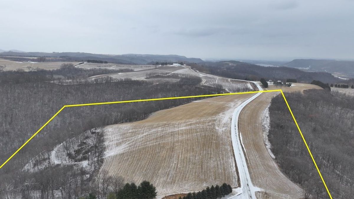 Ridgetop Dream Property | Whitetail Properties