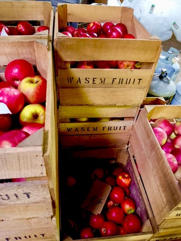 Apples4(1)