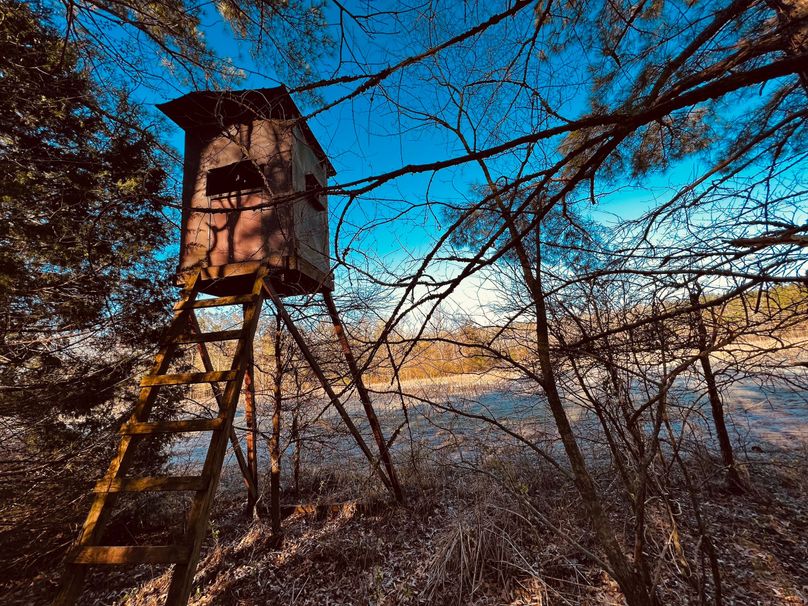 Fantastic Recreational Tract Bordering Ames Plantation In Southwest TN