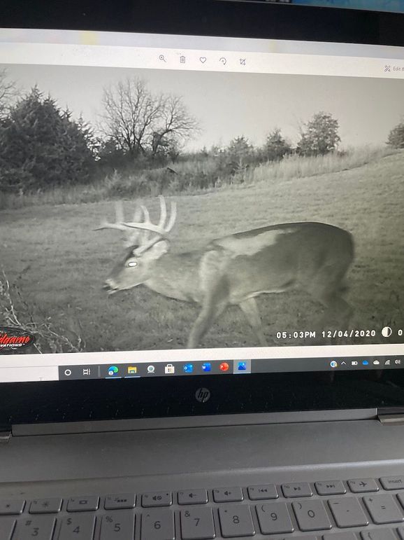 63078896903__003DCB28-0389-4199-A508-F9F8EE10A39F