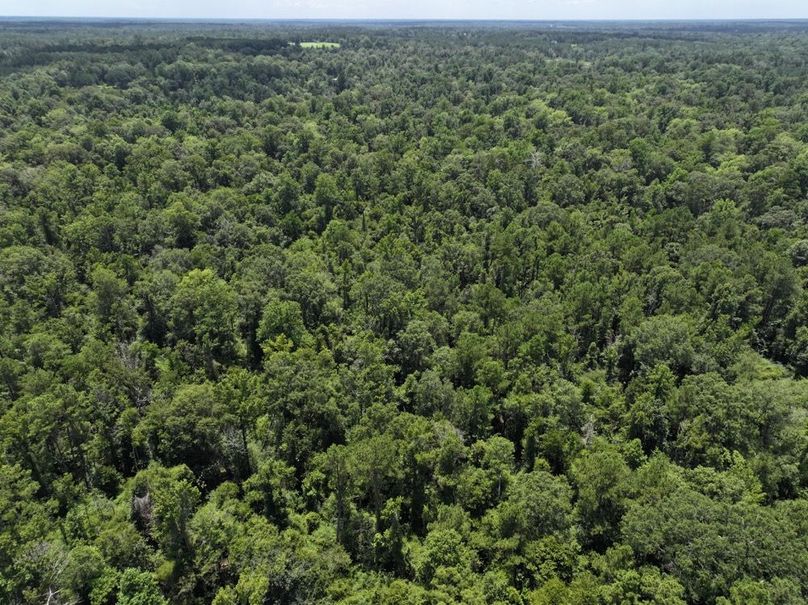 dji_fly_20250708_124120_0220_1752089880869_photo