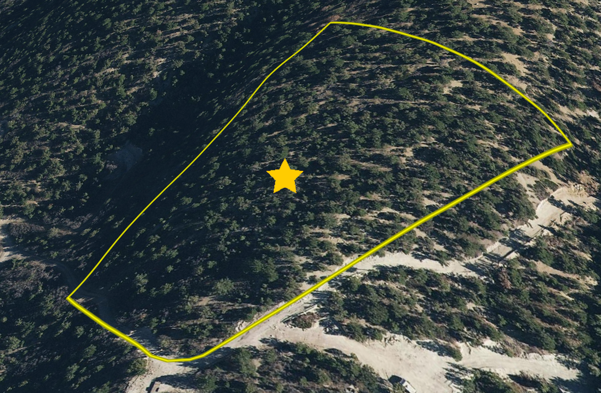 Screen Shot 2024-07-09 at 12.38.48 AM