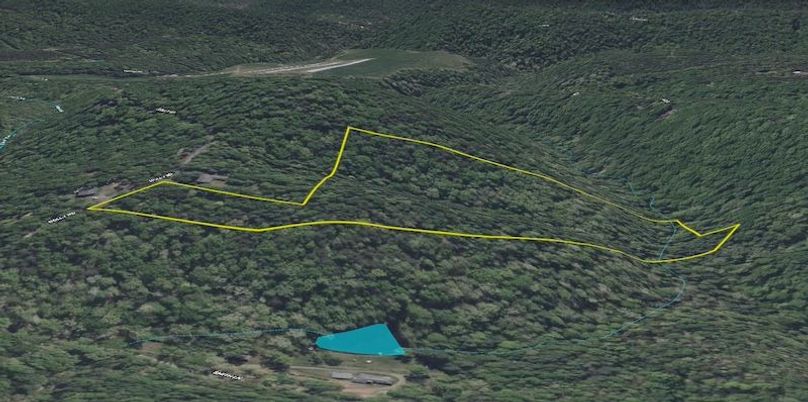 Shenandoah 15.06 3D
