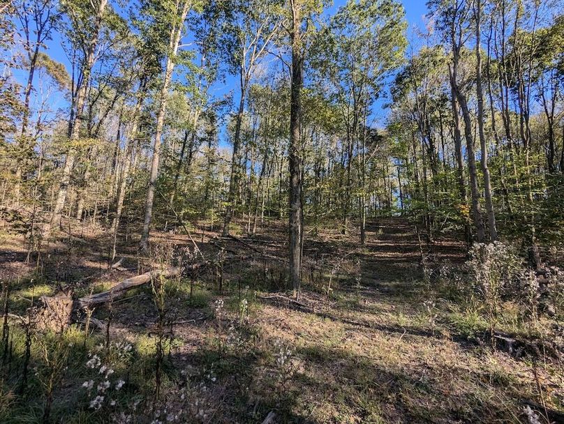 PXL_20251001_205934351