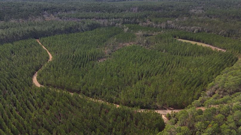 DJI_20231214122904_0001_D