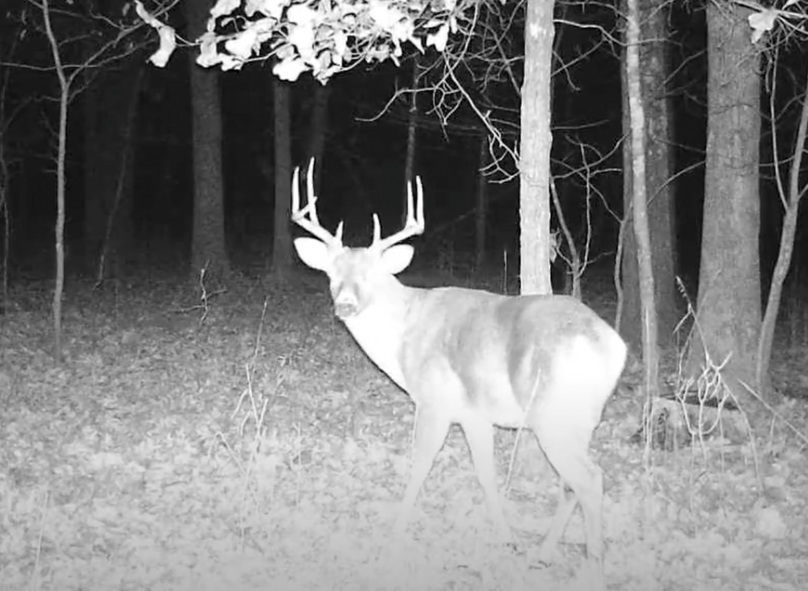 Screen Shot 2024-01-22 at 6.08.44 AM