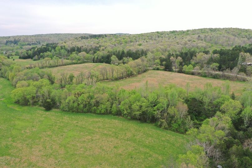DJI_0781