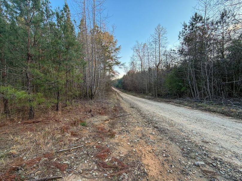 012DE 94 Acres - 1-2