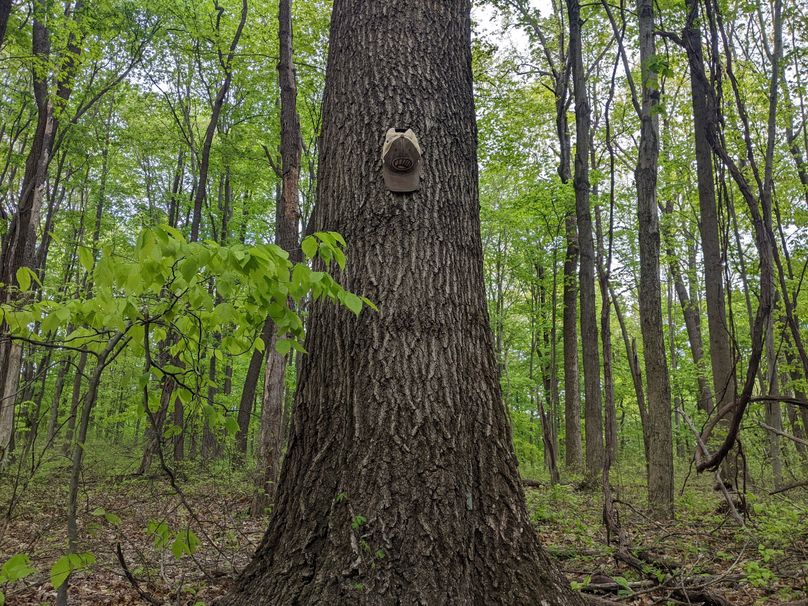 PXL_20230504_221223619