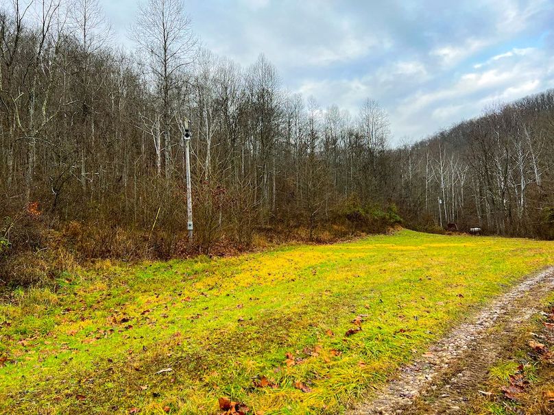 Calhoun, WV 225.69 AC Duffield-26
