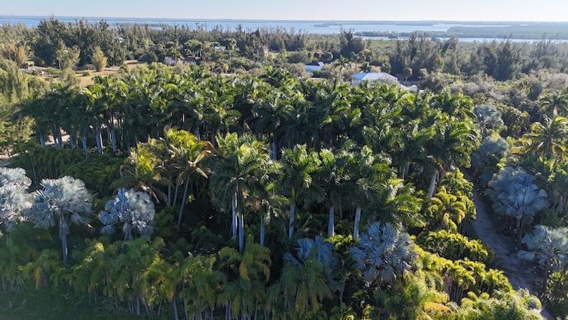 DJI_20260206085328_0225_D