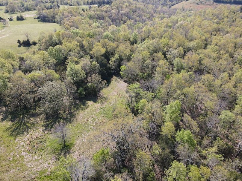 DJI_0322