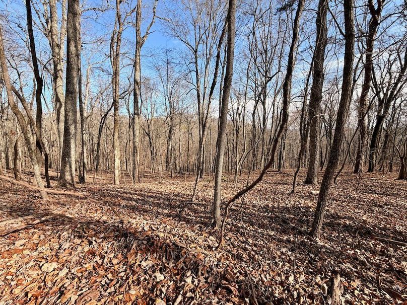 Roane Co TN 396 20251127_78