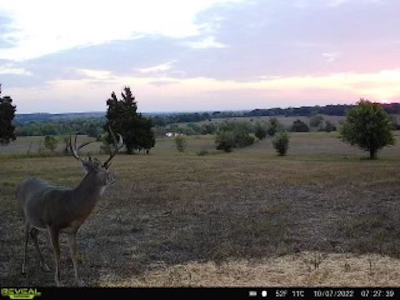 8b64b1f4-8f7f-442b-b2fe-249d9c800523 (1)