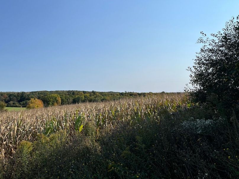 Yates_29_Stape Photo 24