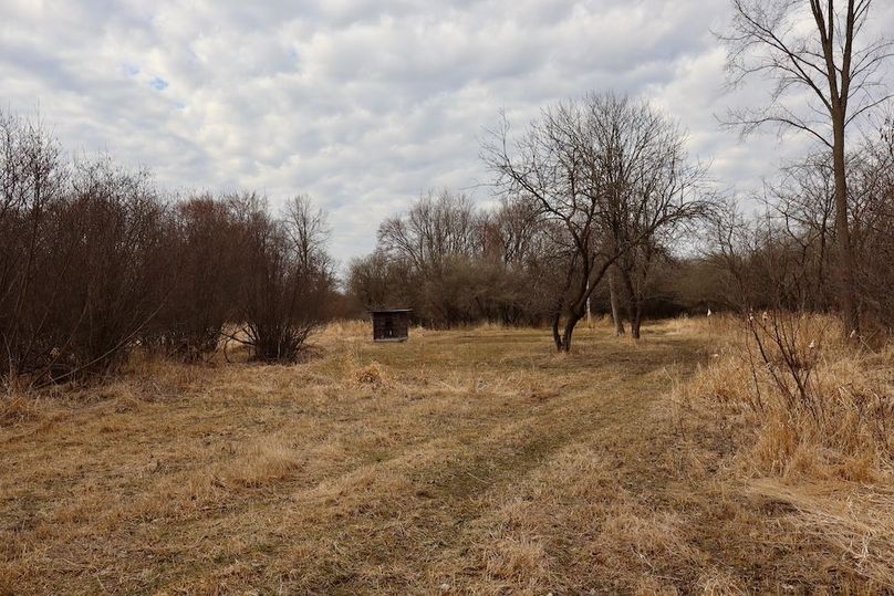 Copy of Copy of IMG_0446