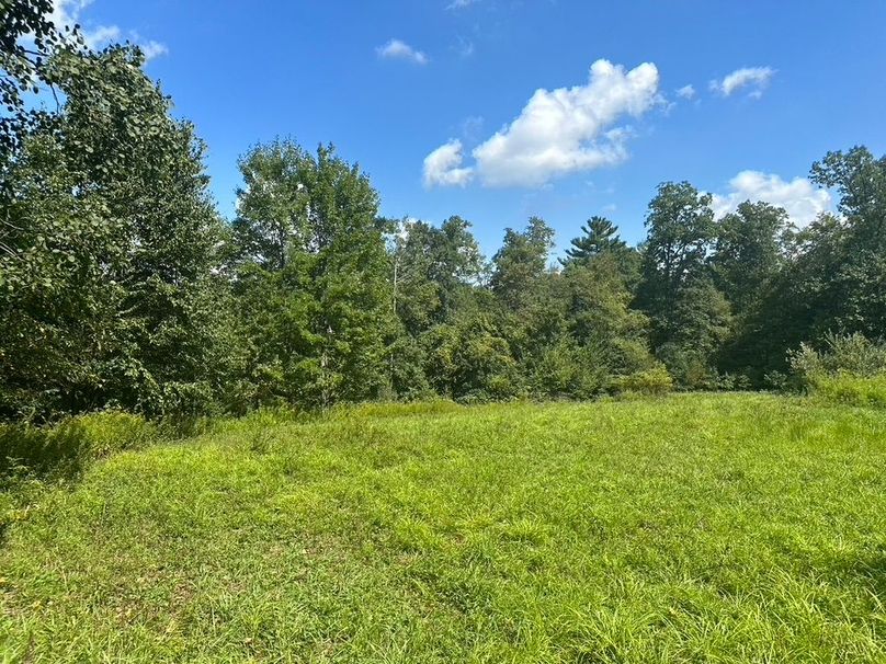 11E43529-D2A0-4E50-8AF8-79D9089727B1_1_105_c