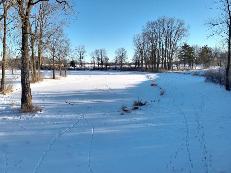 Copy of Tract 6 end of pond looking N toward m50 Large
