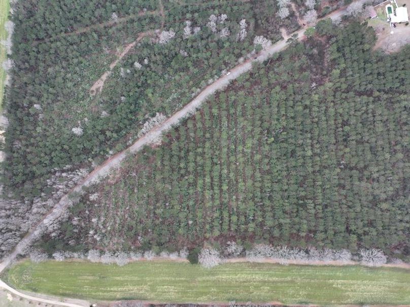 dji_fly_20260217_133104_0121_1771436925544_photo