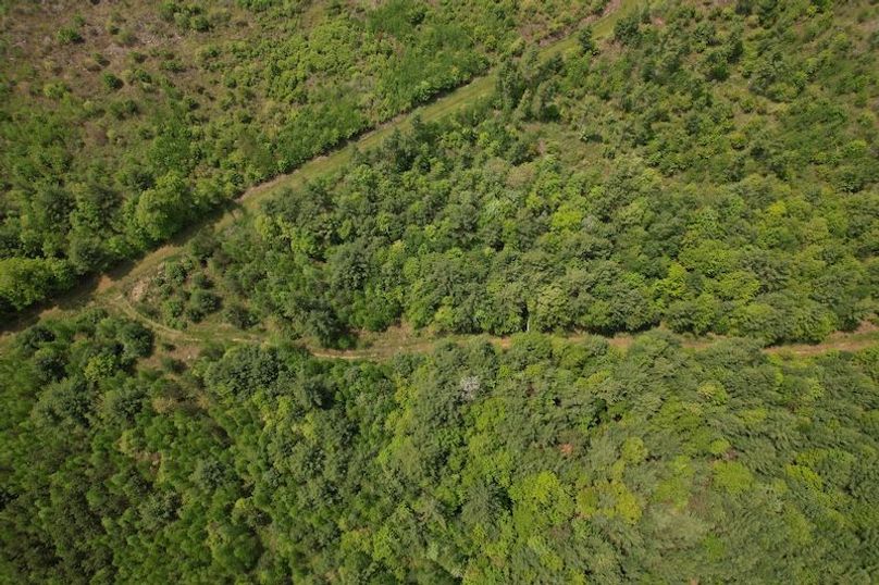 DJI_0168