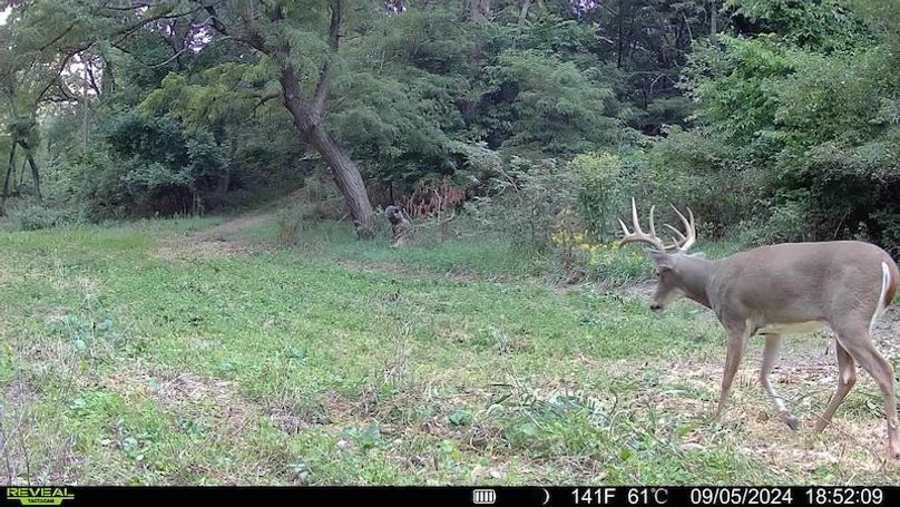 TRAIL CAM 11