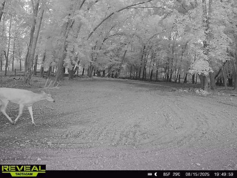 865814042080968-100-2-08152025194958-W1000105